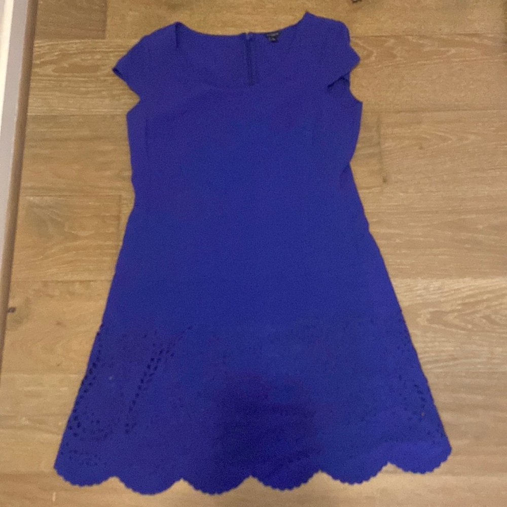 NWOT Ann Taylor Laser Cut Blue Purple Drop Waist Shift Dress Size 8 Medium M